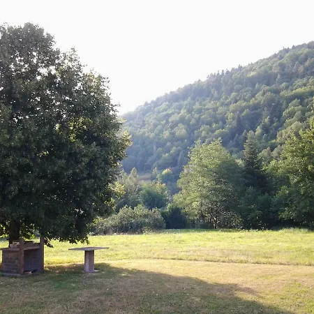 Neuf De Plain Pied Pres De Gerardmer Sapois (Vosges)